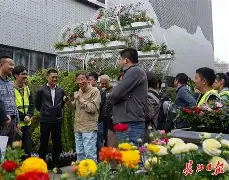 2020赛季武汉卓尔主场在哪里